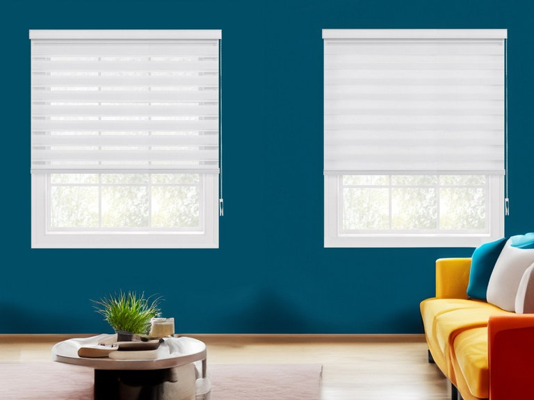  Light Filtering Zebra Shade